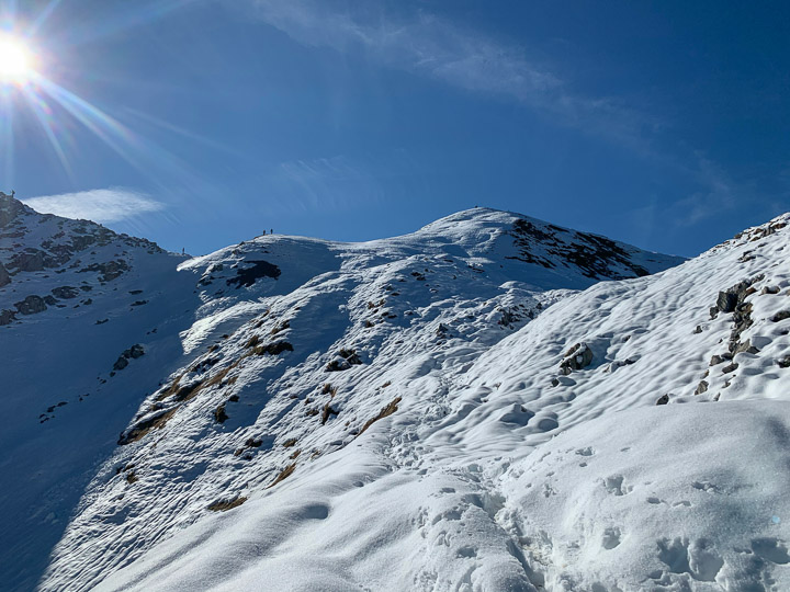 Grat des Geißfuß im Schnee
